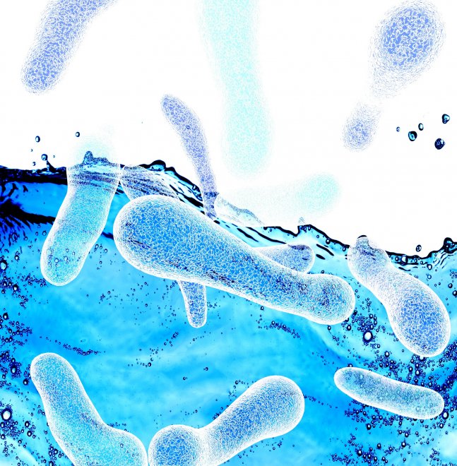 What is Legionella and how can you prevent it?